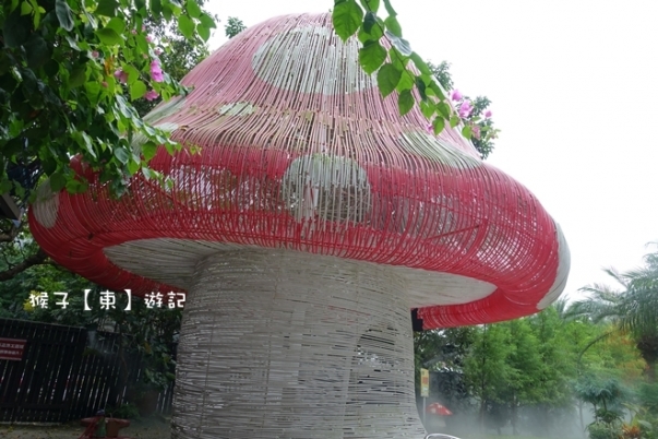 mushroom002