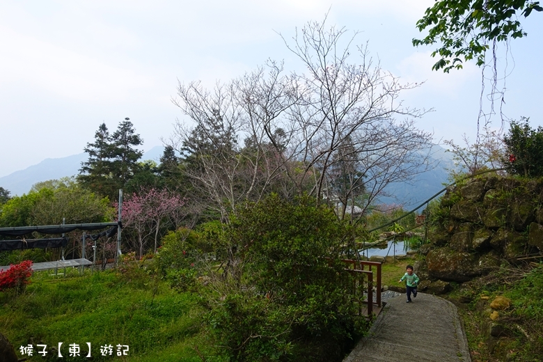 住宿推薦,南投住宿,南投親子住宿,賞櫻,賞螢