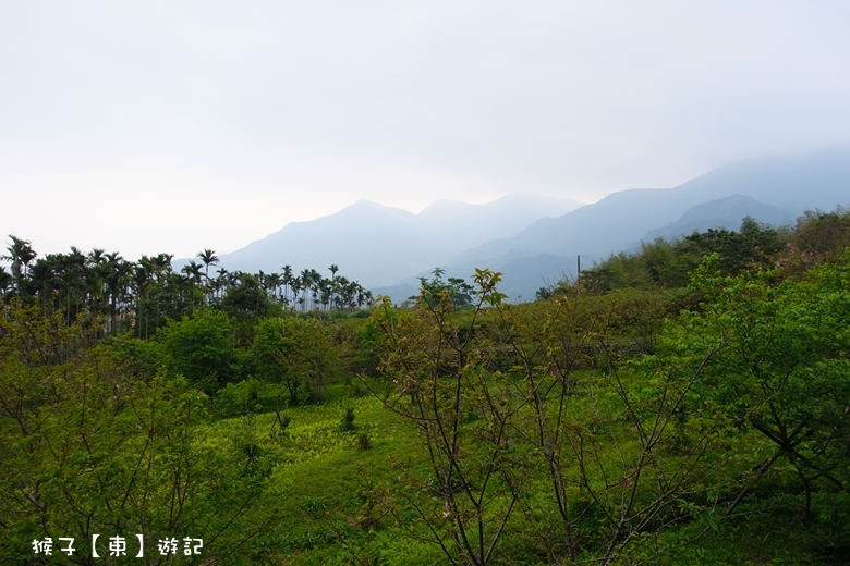 住宿推薦,南投住宿,南投親子住宿,賞櫻,賞螢