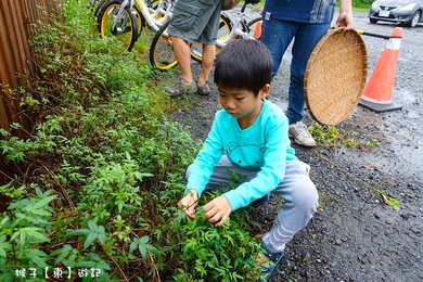 宜蘭親子景點