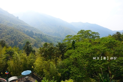 南投特色民宿,小木屋住宿,杉林溪民宿,溪頭住宿推薦,溪頭晚餐,鹿谷住宿推薦