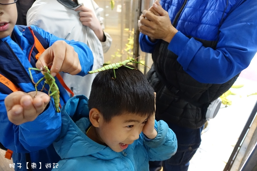 親子出遊,親子景點