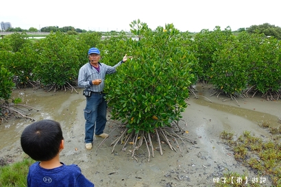 恩惠泰式小館,畫糖叔叔,紅樹林,舊城小旅行