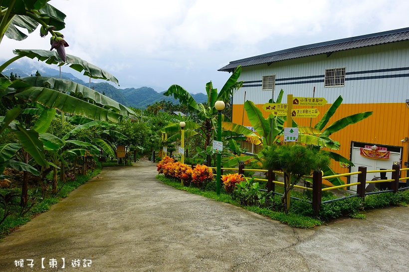 來集集找鈞焺 FUN 暑假,嗨翻集集金色蕉年華,第一次露營,第一露推薦,集集景點,集集露營,露營初體驗