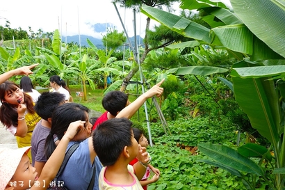 來集集找鈞焺 FUN 暑假,嗨翻集集金色蕉年華,第一次露營,第一露推薦,集集景點,集集露營,露營初體驗