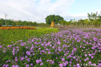 免費景點,花博拍照,花博景點