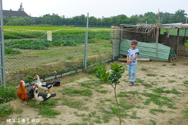 台南左鎮化石園區,親子住宿推薦