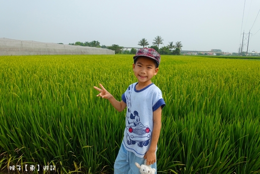 台南左鎮化石園區,親子住宿推薦