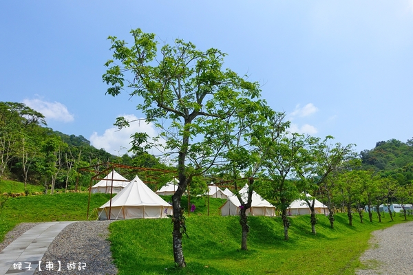 glamping,櫻花季,櫻花林,蝶舞澗,蝶舞澗訂房優惠,蝶舞澗訂房折扣,蟬說 瀰蝶源記,高雄露營推薦,黃蝶翠谷