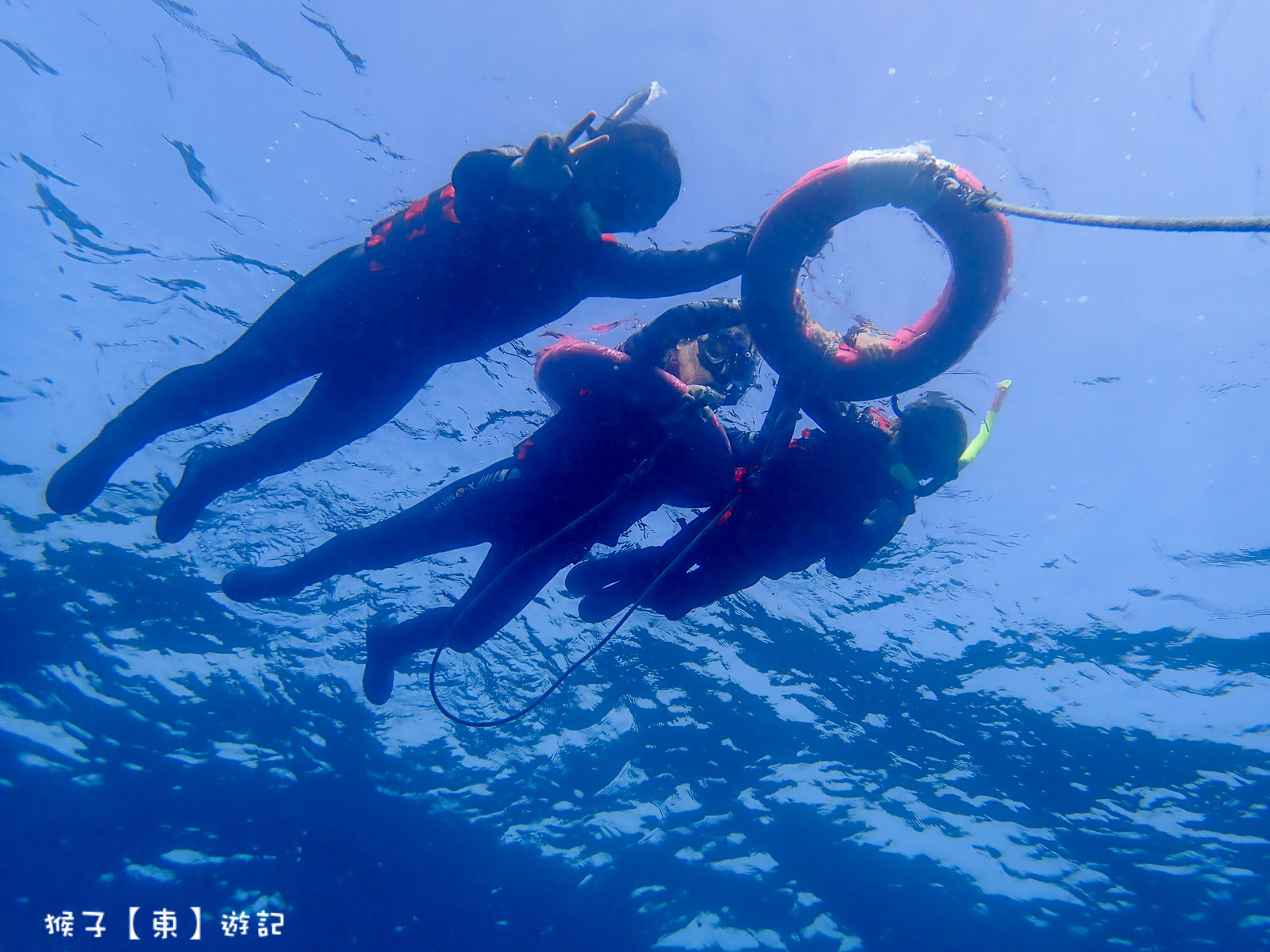 延伸閱讀：小琉球浮潛推薦 與海龜 熱帶魚一起游在大海裡 專業教練帶領 免費拍照