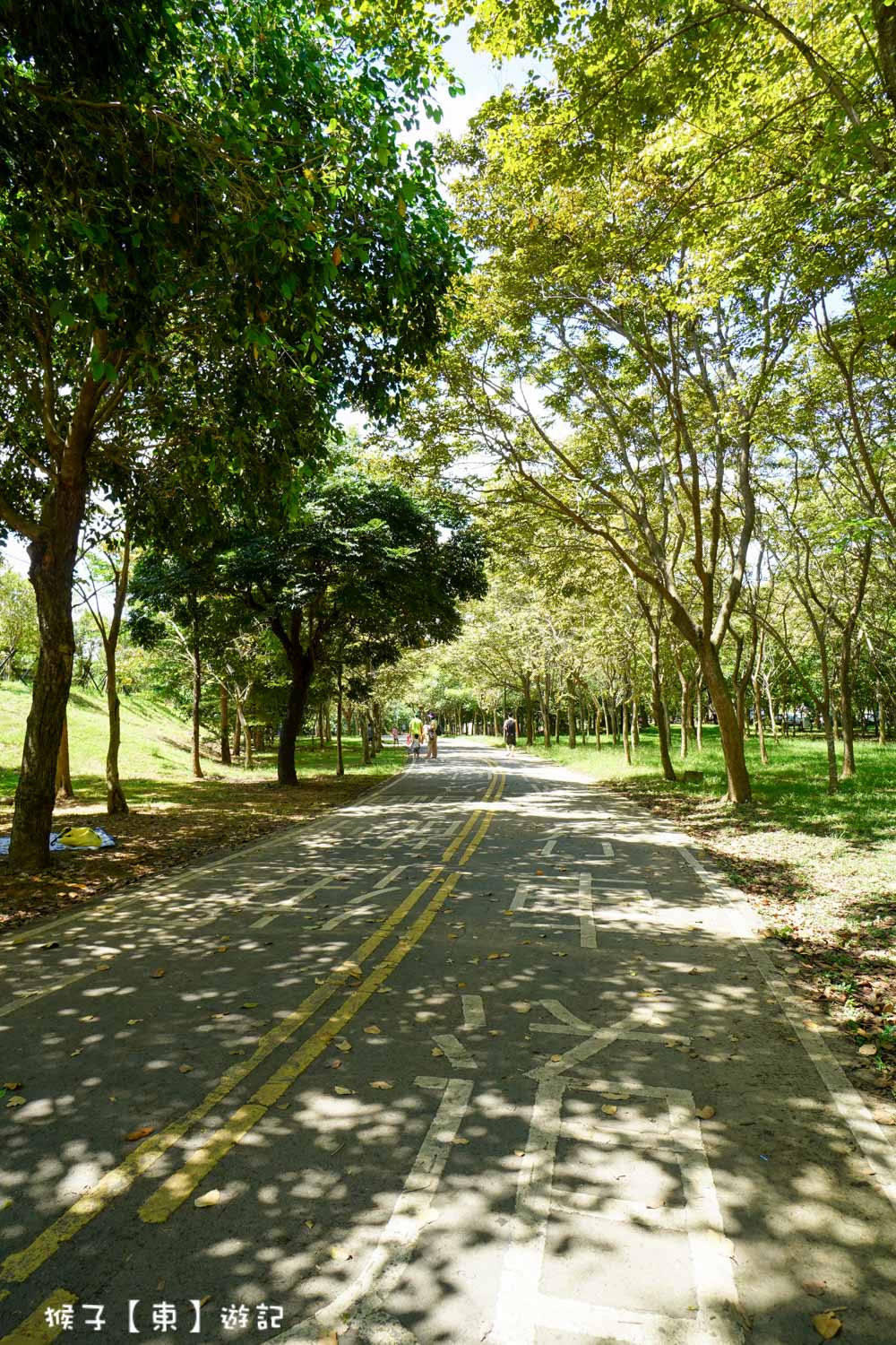 中科公園玩水