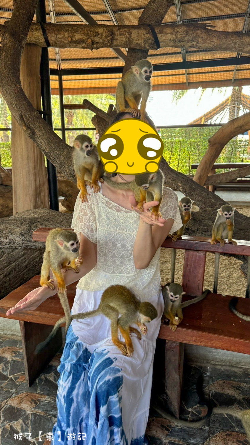 大城動物園,大城動物園門票,大城包車,大城獅子動物園,大城獅子園