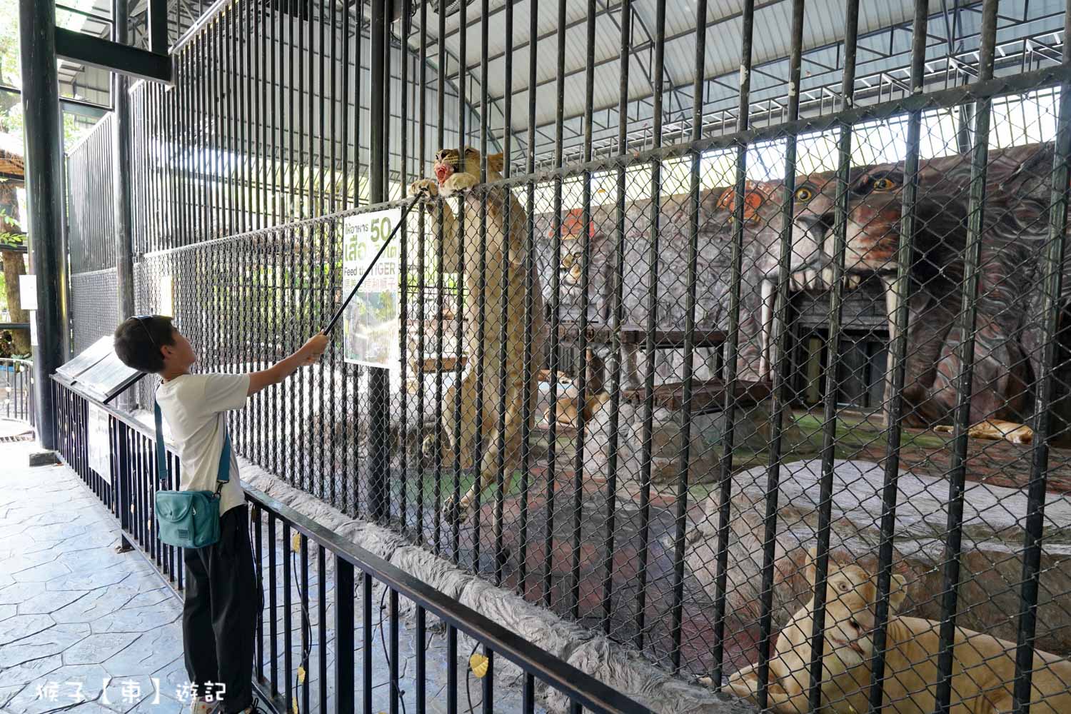 大城動物園,大城動物園門票,大城包車,大城獅子動物園,大城獅子園