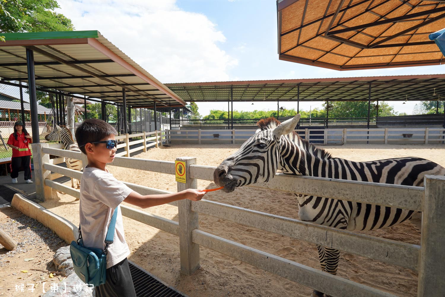 大城動物園,大城動物園門票,大城包車,大城獅子動物園,大城獅子園