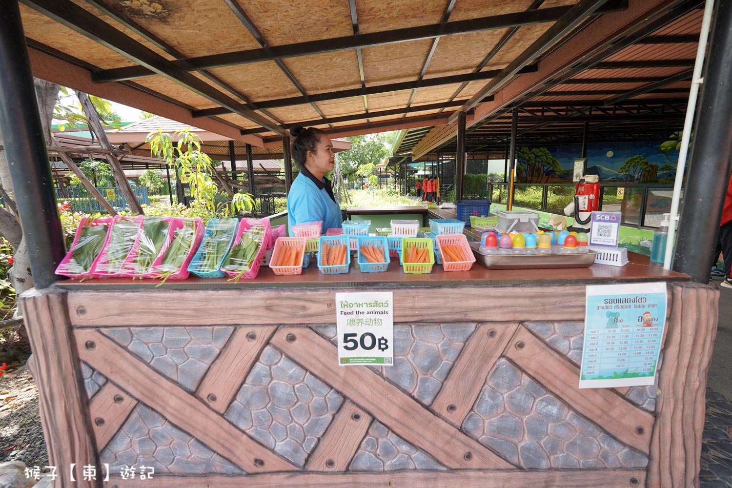 大城動物園,大城動物園門票,大城包車,大城獅子動物園,大城獅子園