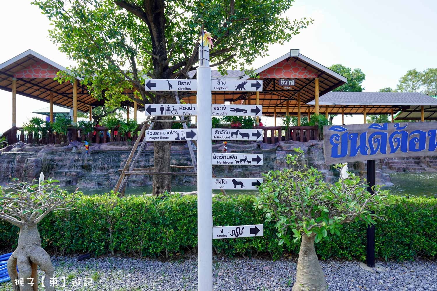 大城動物園,大城動物園門票,大城包車,大城獅子動物園,大城獅子園