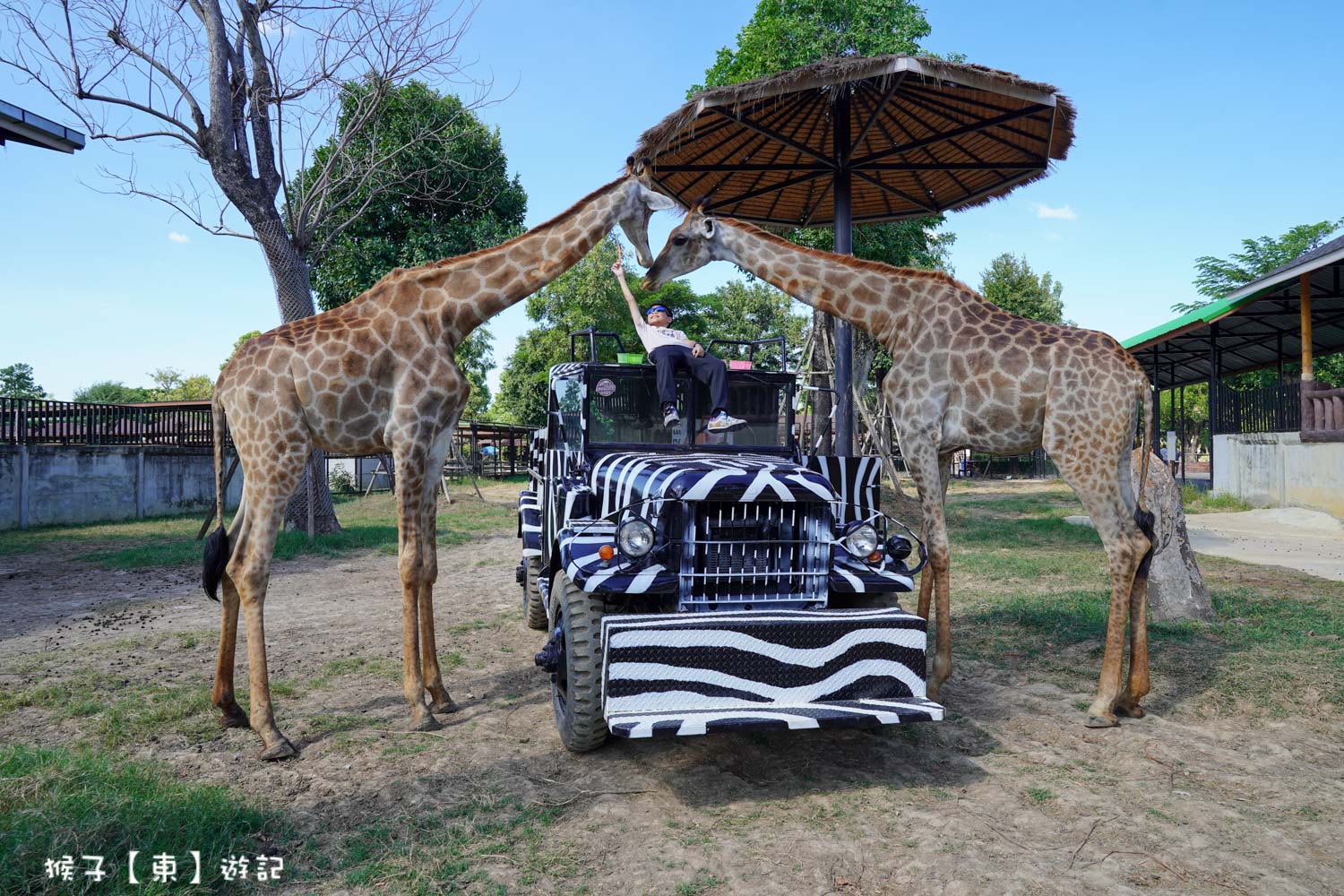 大城動物園,大城動物園門票,大城包車,大城獅子動物園,大城獅子園