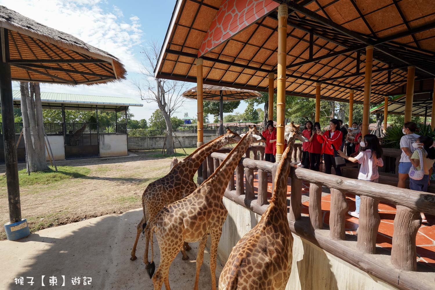 大城動物園,大城動物園門票,大城包車,大城獅子動物園,大城獅子園