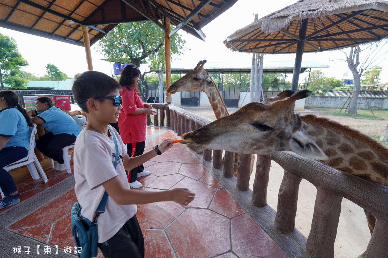 大城動物園,大城動物園門票,大城包車,大城獅子動物園,大城獅子園