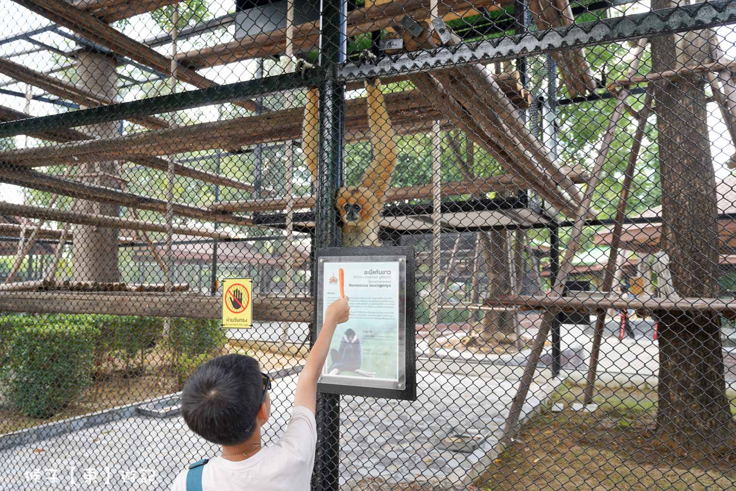 大城動物園,大城動物園門票,大城包車,大城獅子動物園,大城獅子園