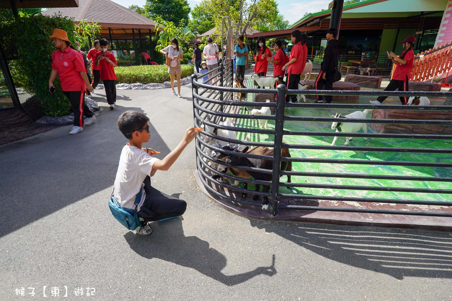 大城動物園,大城動物園門票,大城包車,大城獅子動物園,大城獅子園