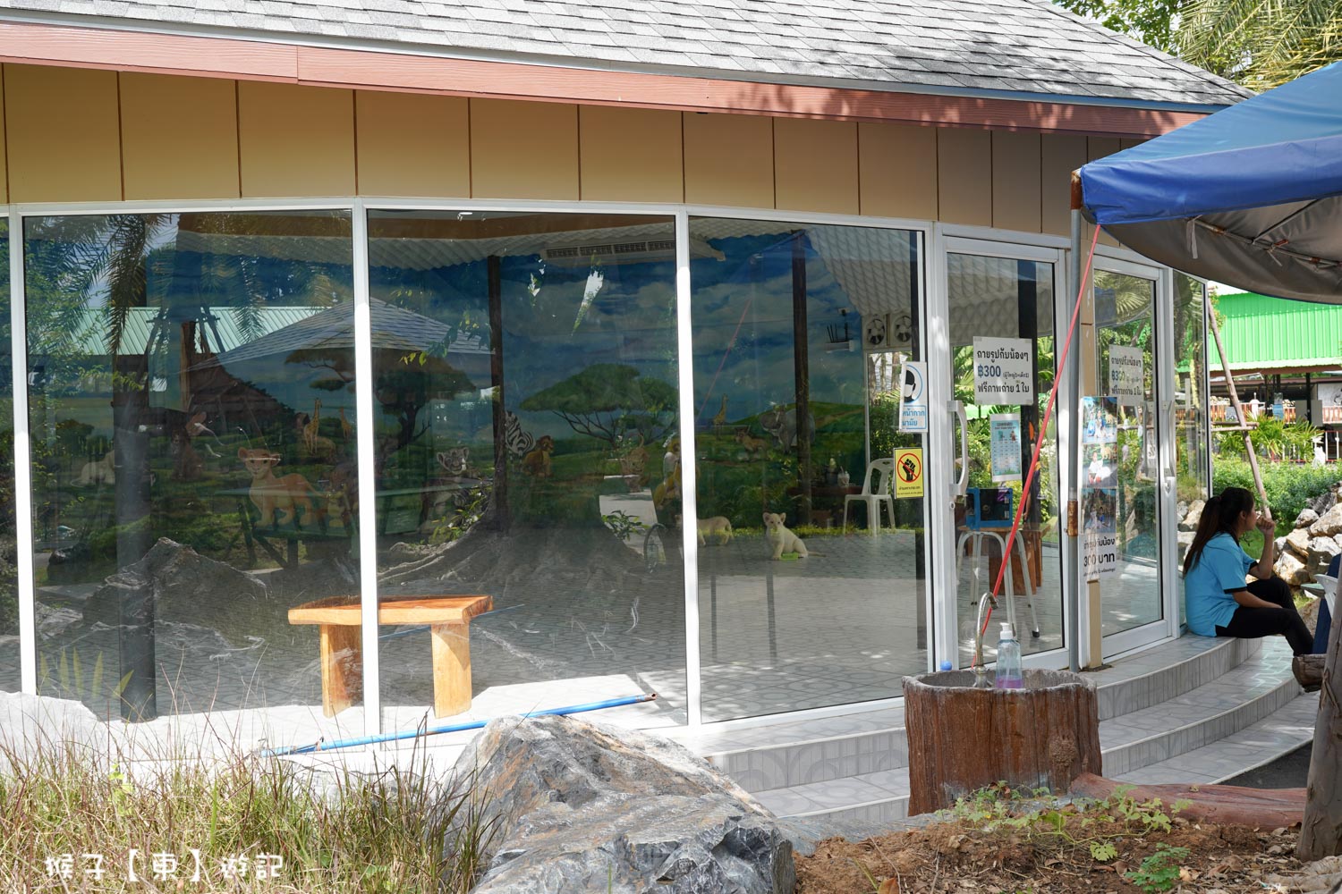 大城動物園,大城動物園門票,大城包車,大城獅子動物園,大城獅子園