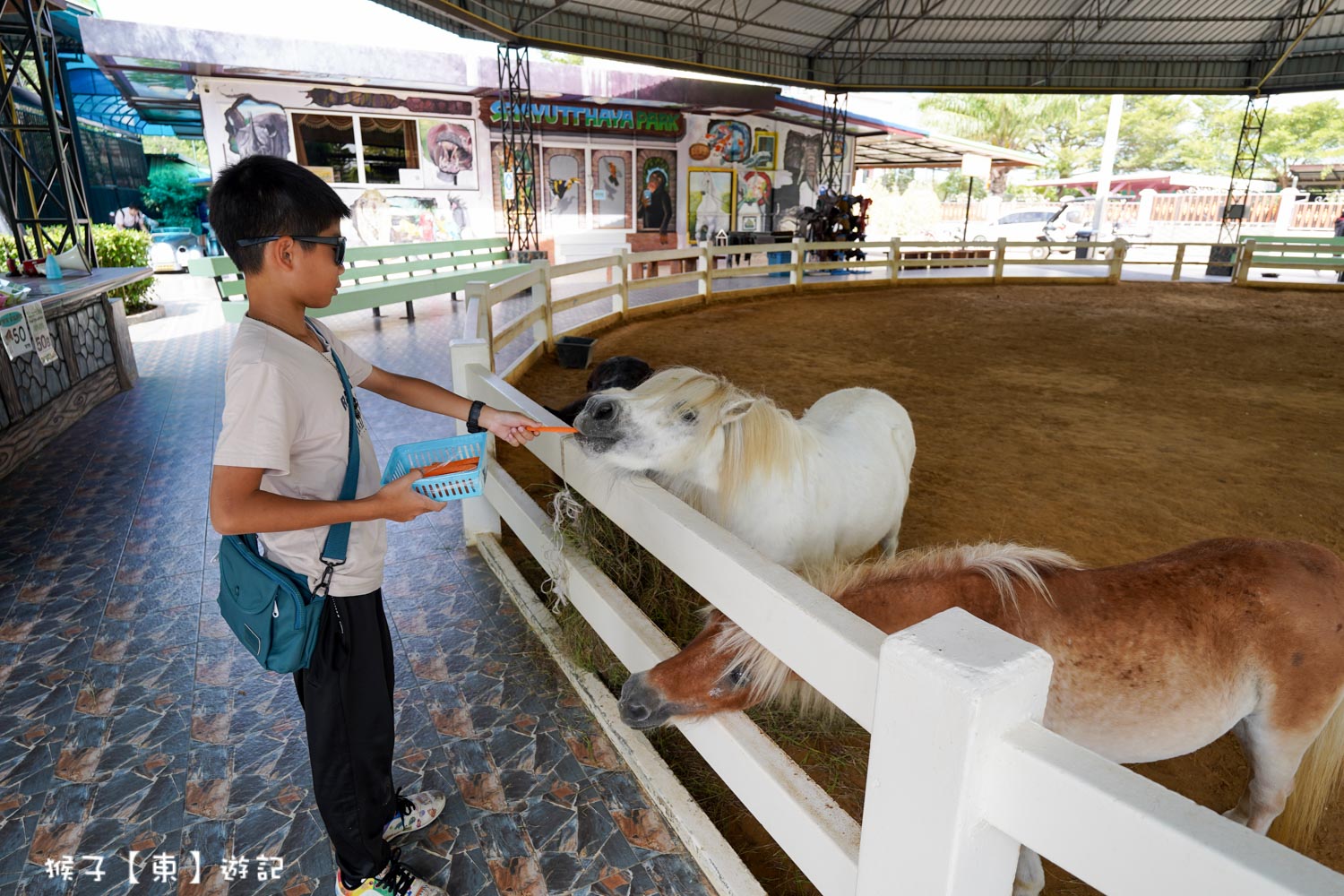 大城動物園,大城動物園門票,大城包車,大城獅子動物園,大城獅子園