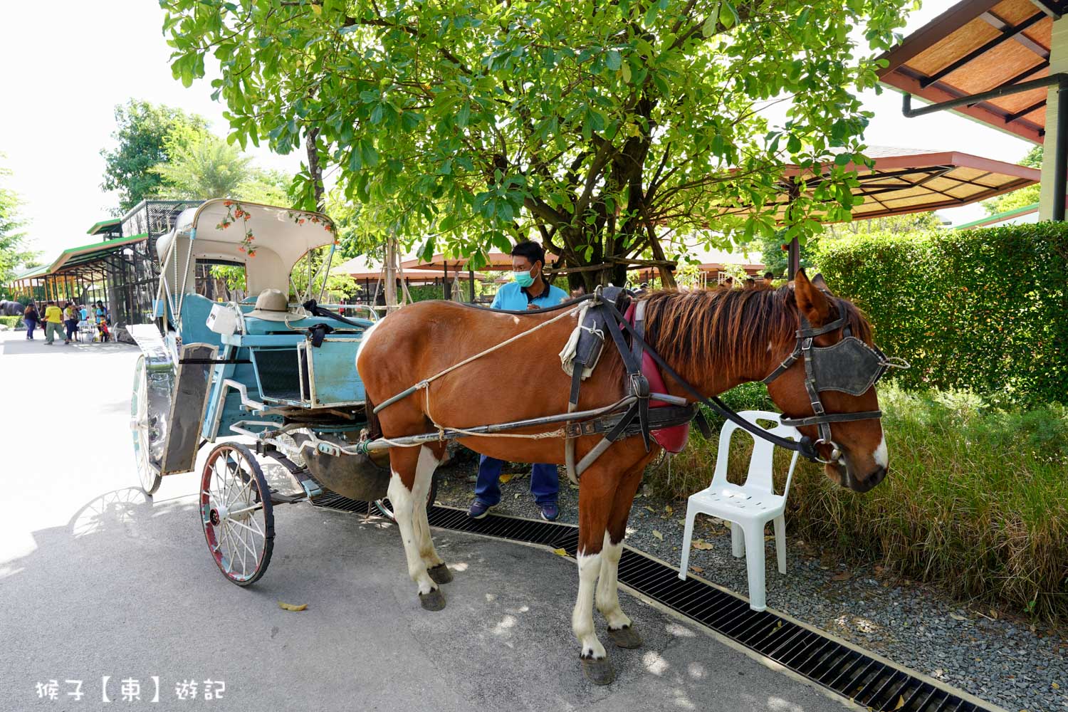 大城動物園,大城動物園門票,大城包車,大城獅子動物園,大城獅子園