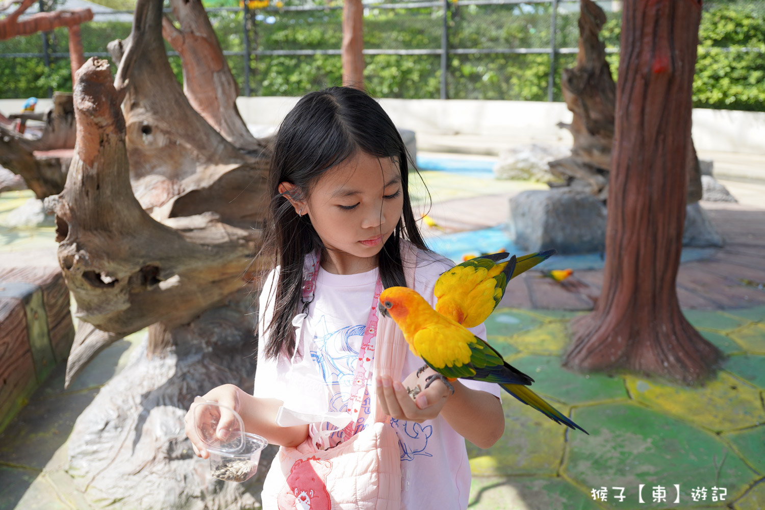 大城動物園,大城動物園門票,大城包車,大城獅子動物園,大城獅子園