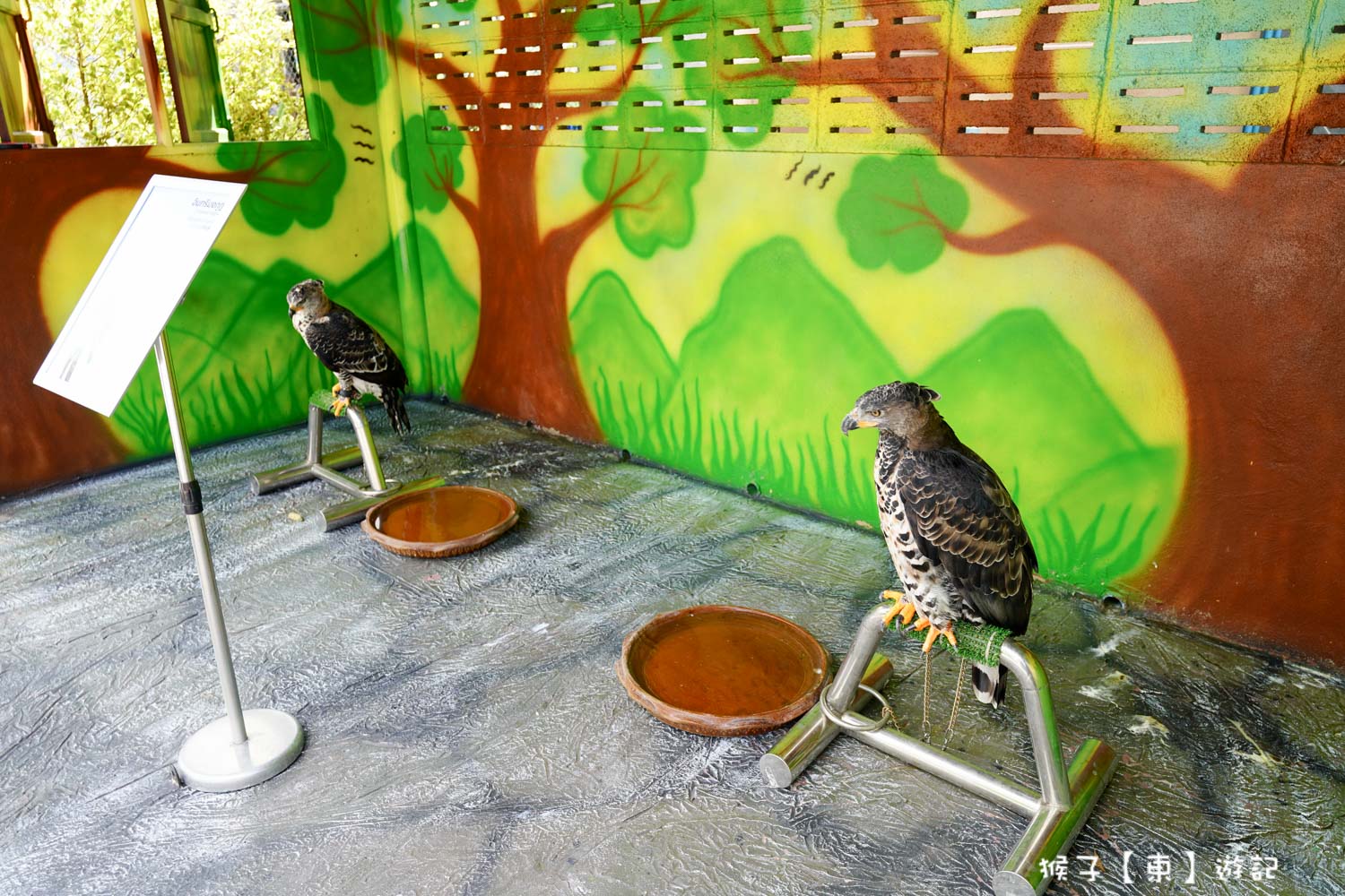 大城動物園,大城動物園門票,大城包車,大城獅子動物園,大城獅子園