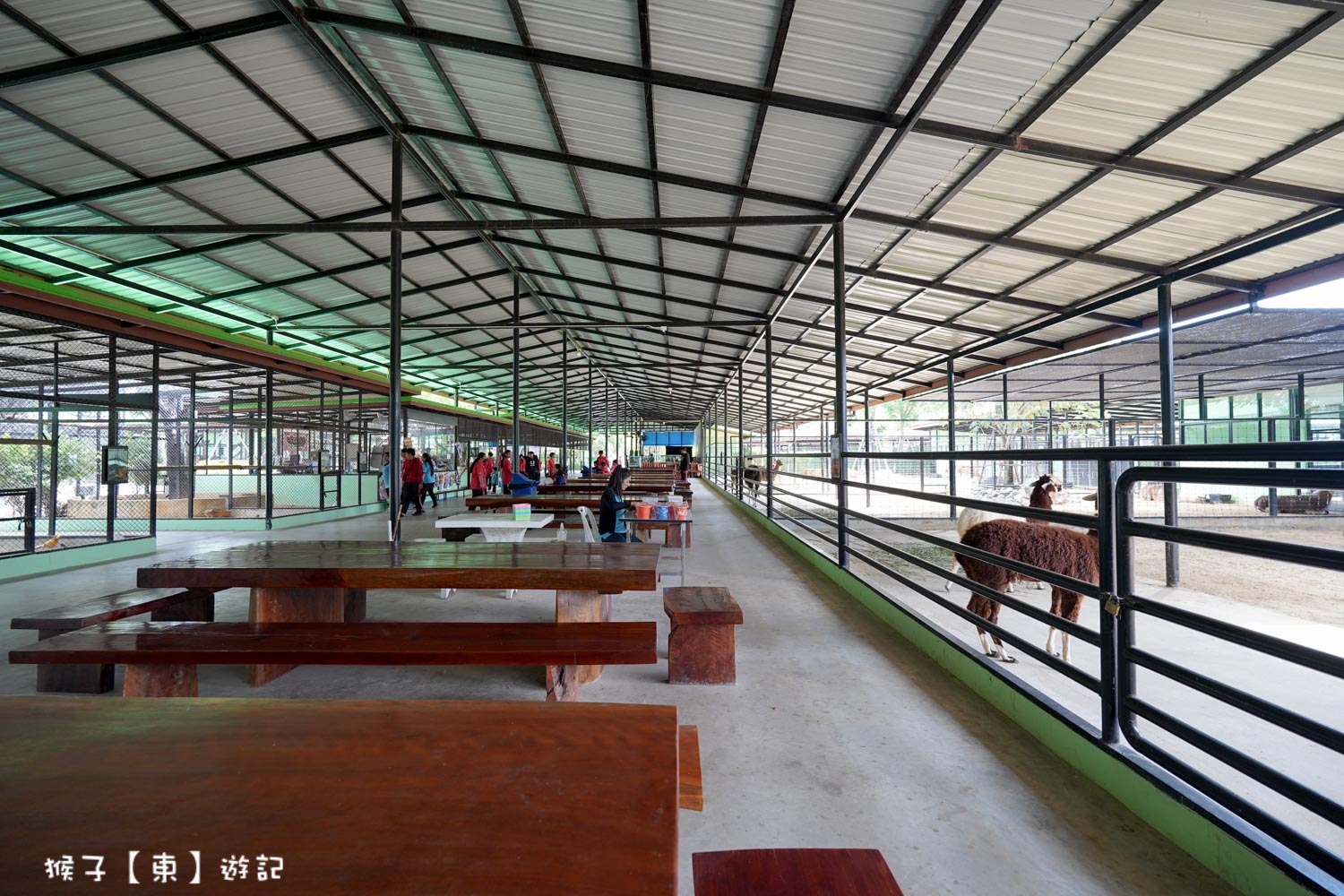 大城動物園,大城動物園門票,大城包車,大城獅子動物園,大城獅子園