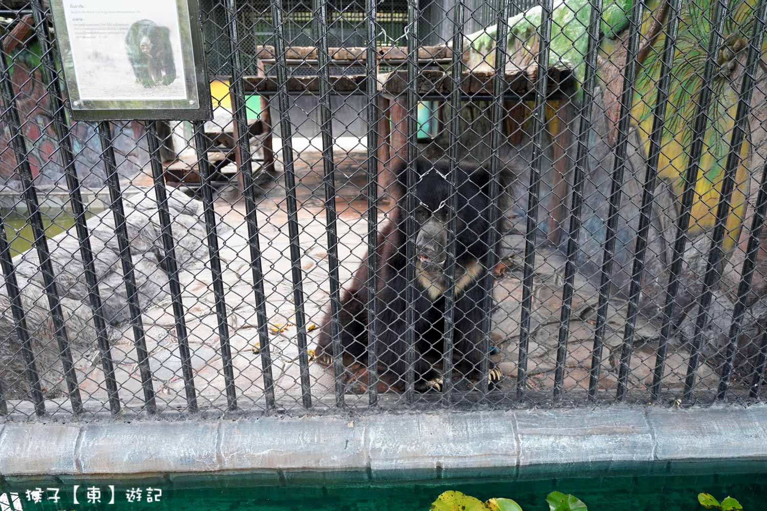 大城動物園,大城動物園門票,大城包車,大城獅子動物園,大城獅子園