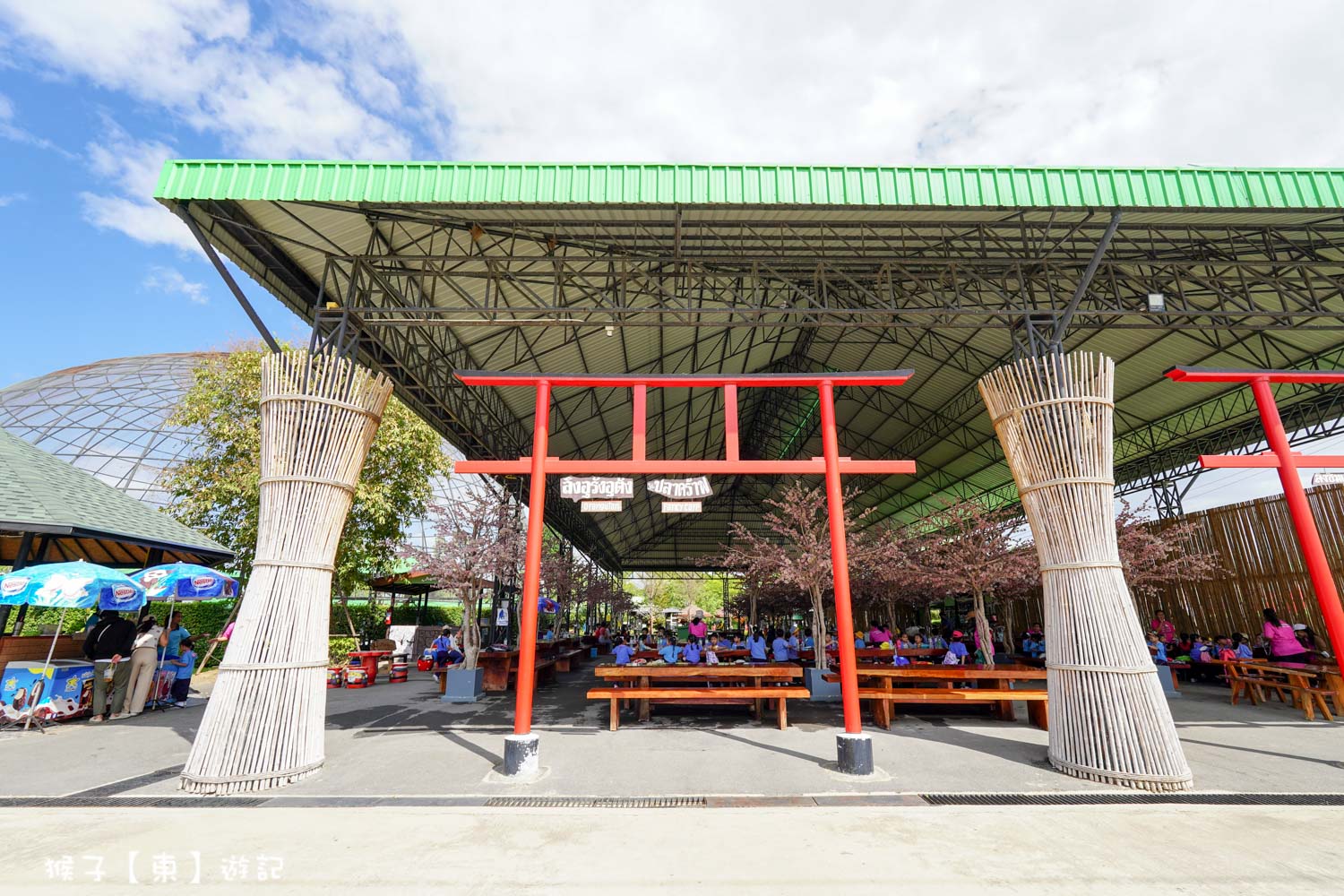 大城動物園,大城動物園門票,大城包車,大城獅子動物園,大城獅子園