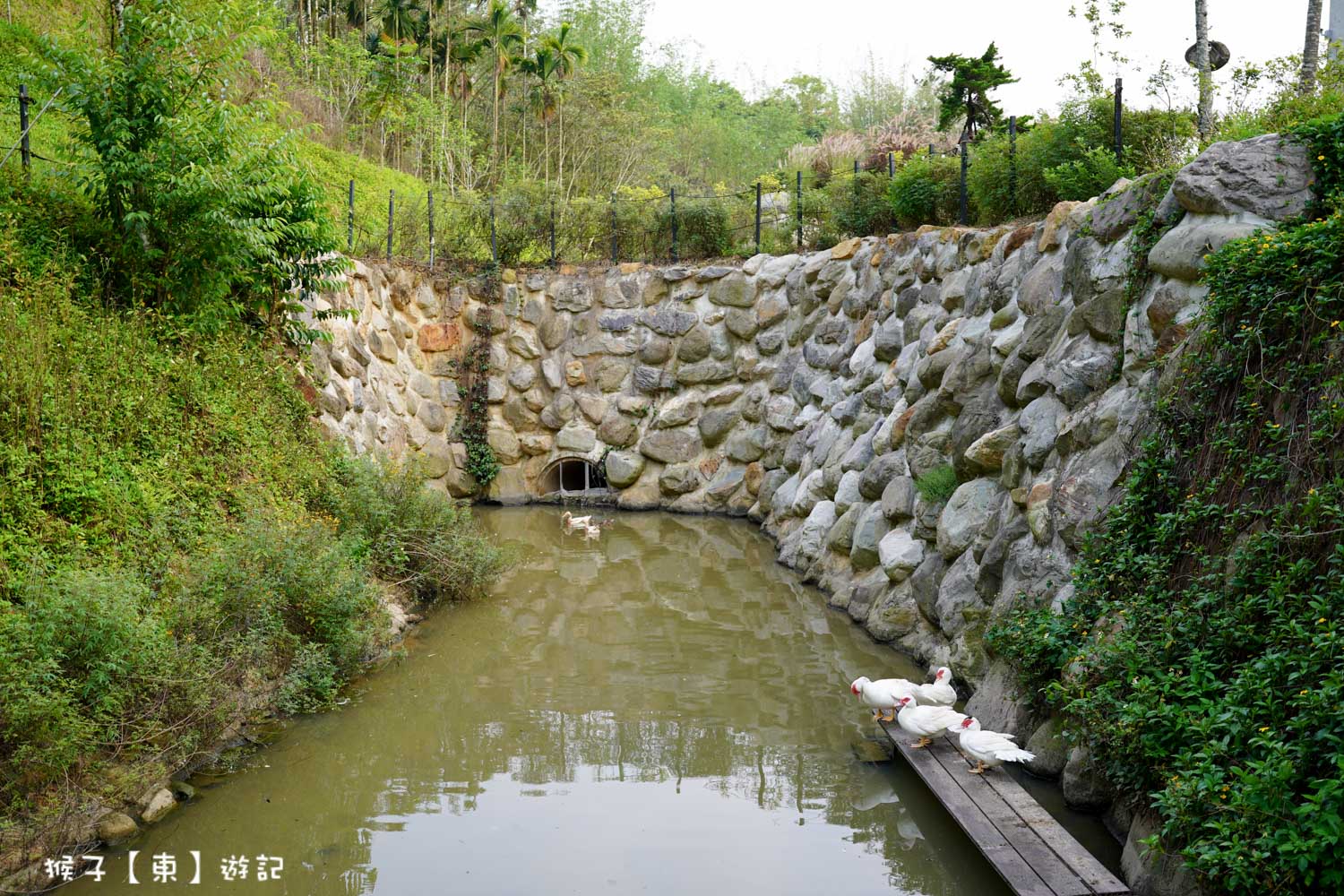 南投免裝備露營,南投民宿,埔里住宿,埔里民宿,葉子祕境,葉子秘境