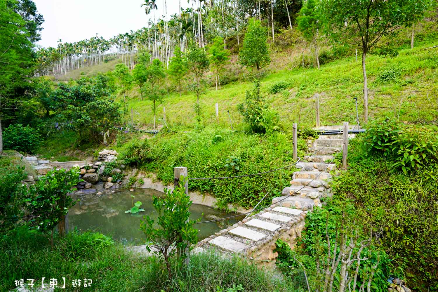 南投免裝備露營,南投民宿,埔里住宿,埔里民宿,葉子祕境,葉子秘境