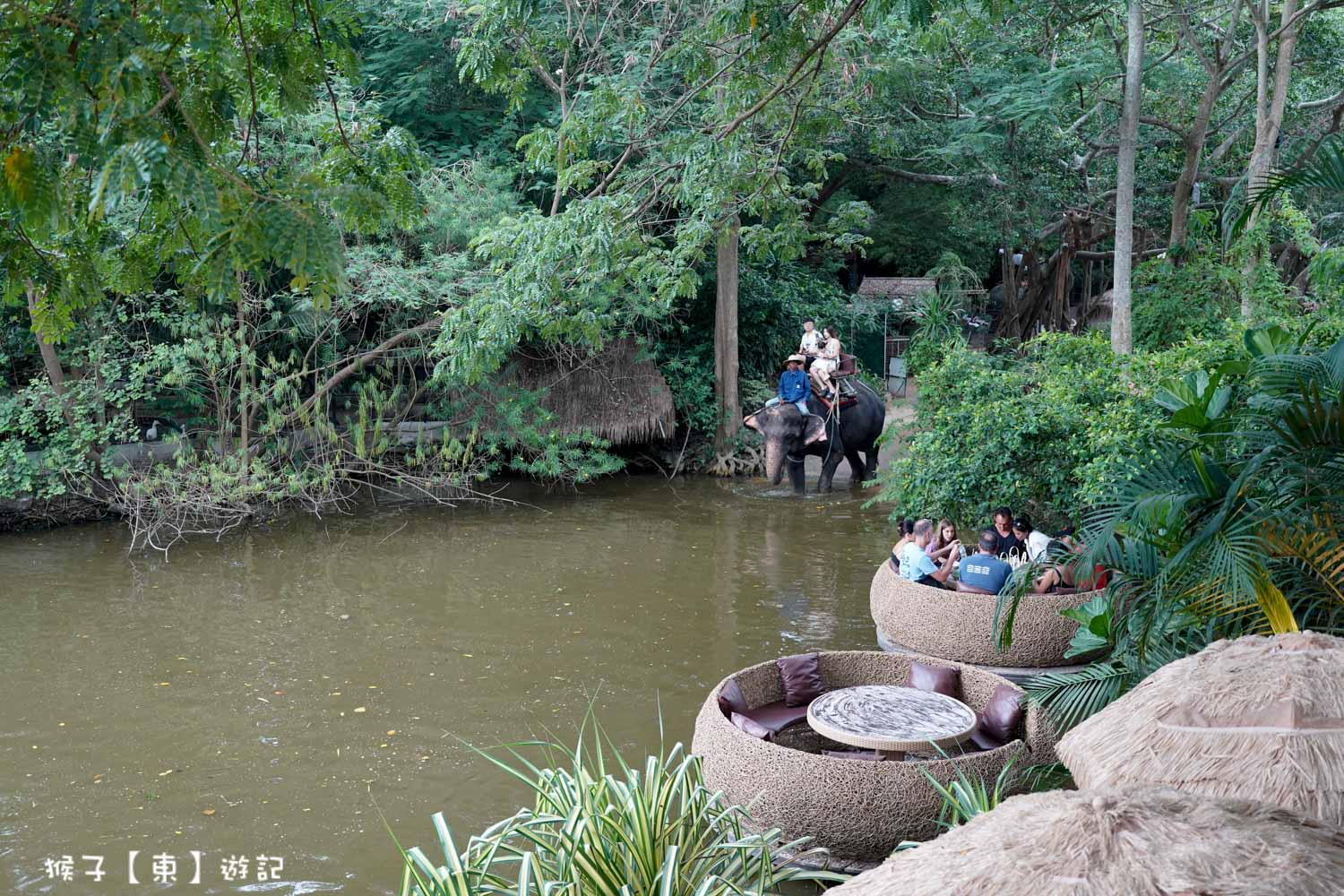 延伸閱讀：[泰國] 芭達雅Mong Chang Cafe大象咖啡廳 大象園網紅咖啡廳 近距離餵食動物 大象過河 歌舞表演