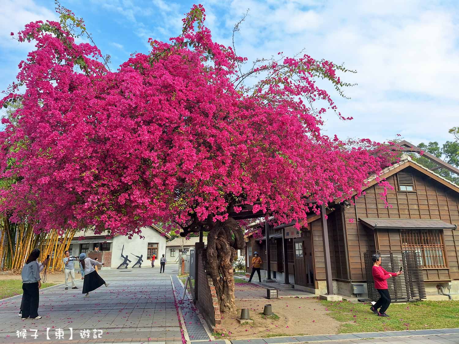 延伸閱讀：[台中] 國家漫畫博物館 日式木造歷史建築 九重葛花屋 鏡湖 市集 懷舊漫畫出租店免費看到飽