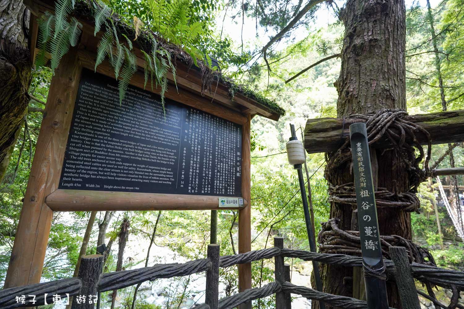  @猴子【東】遊記