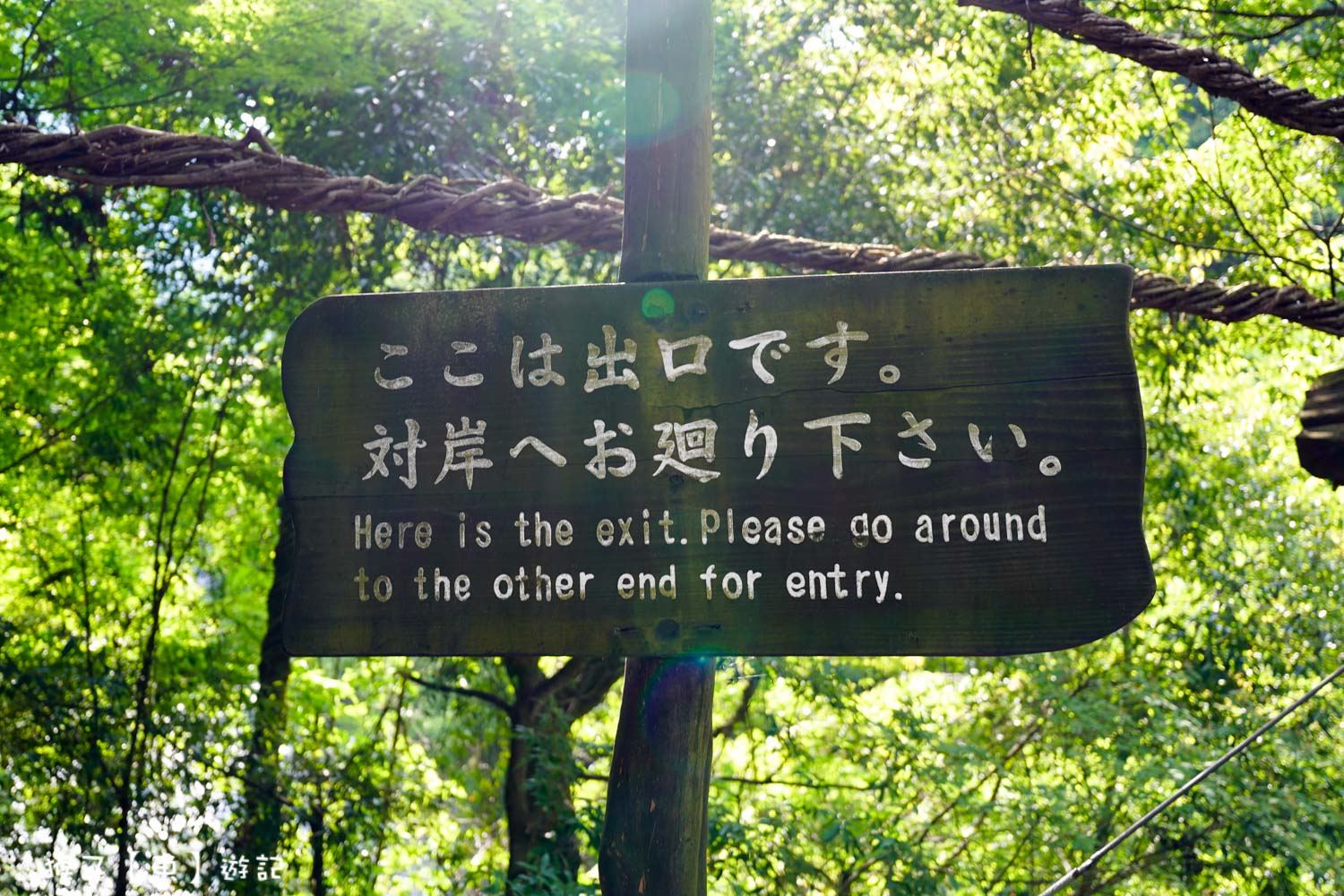  @猴子【東】遊記