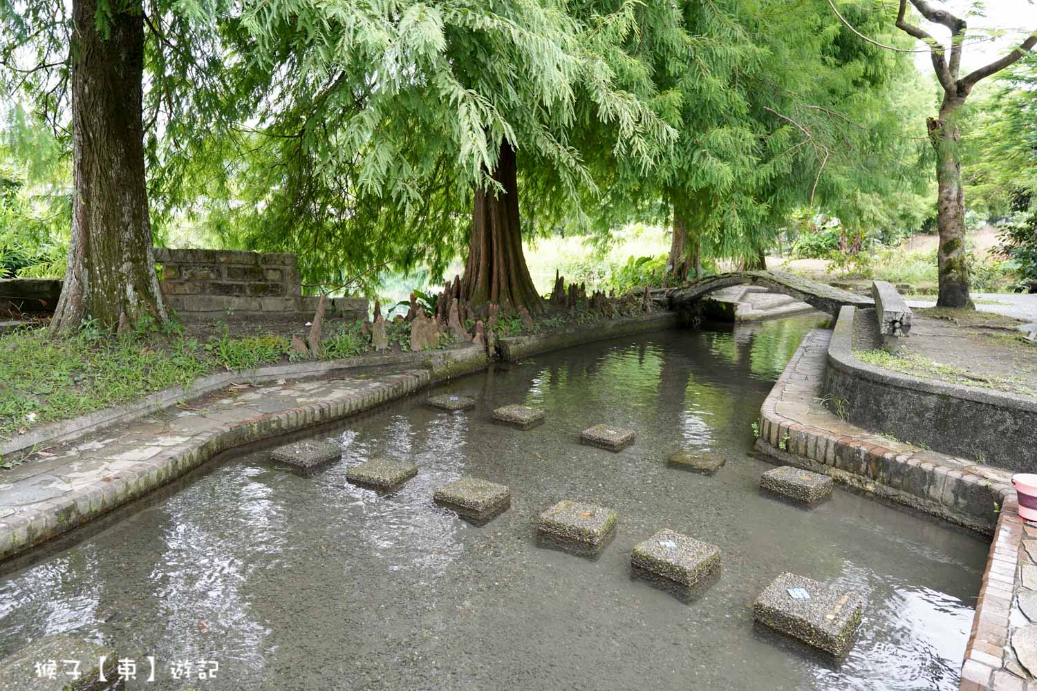 @猴子【東】遊記