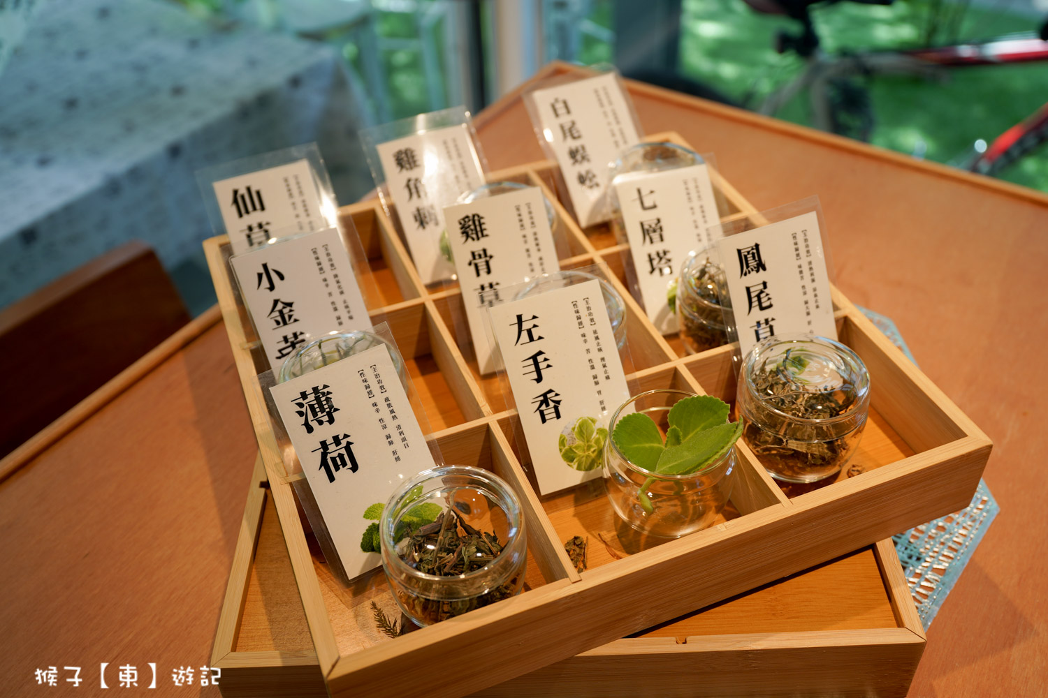  @猴子【東】遊記