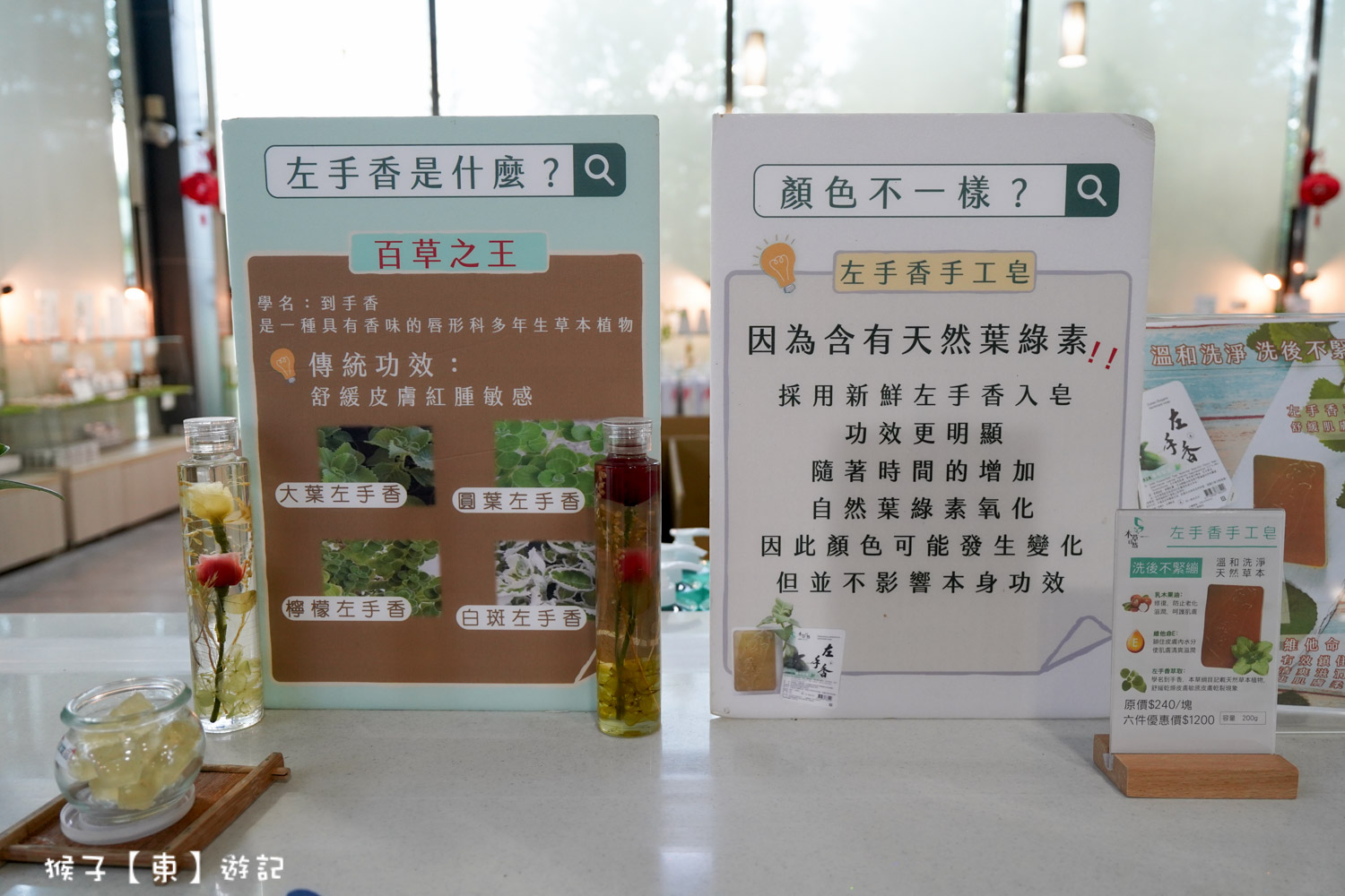  @猴子【東】遊記