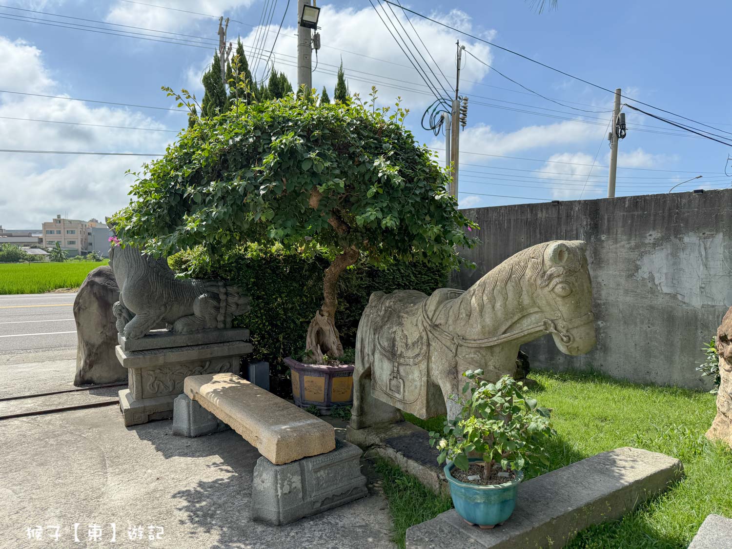  @猴子【東】遊記