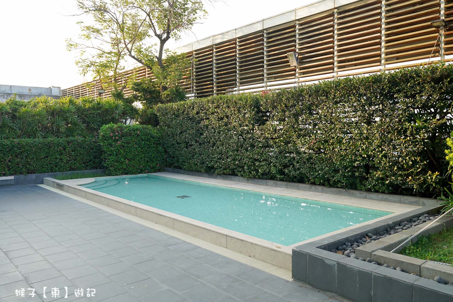  @猴子【東】遊記