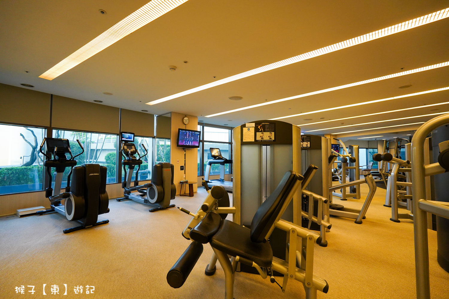  @猴子【東】遊記