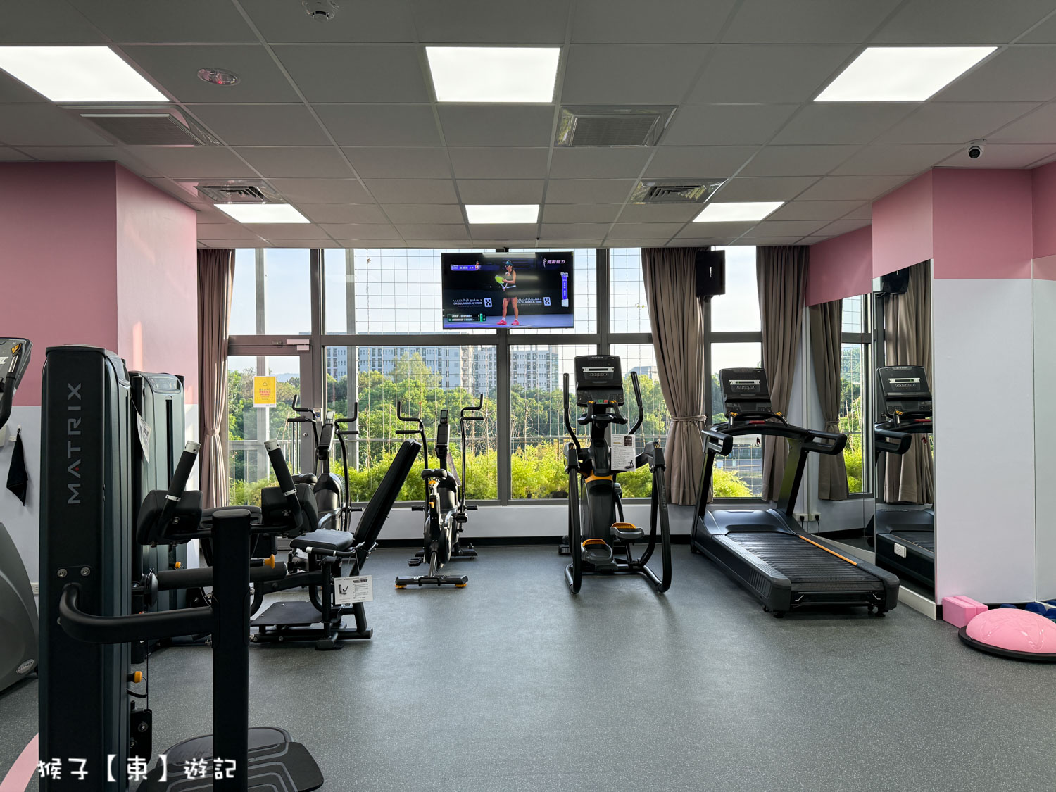  @猴子【東】遊記