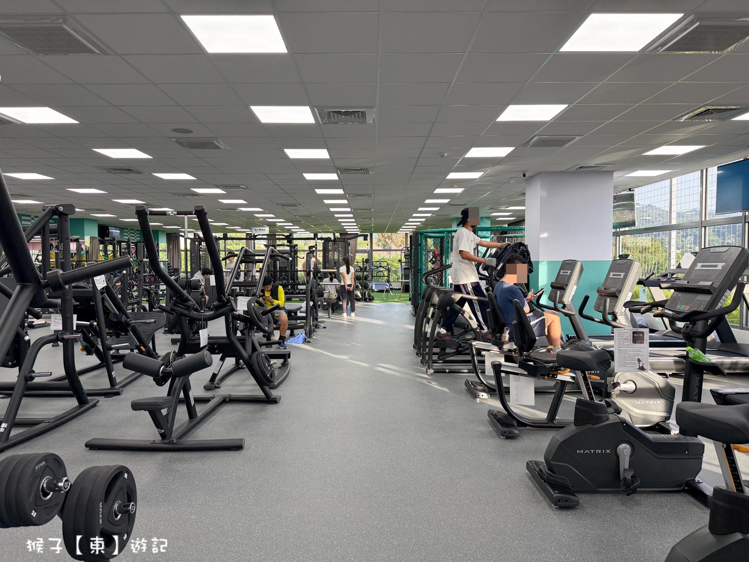  @猴子【東】遊記