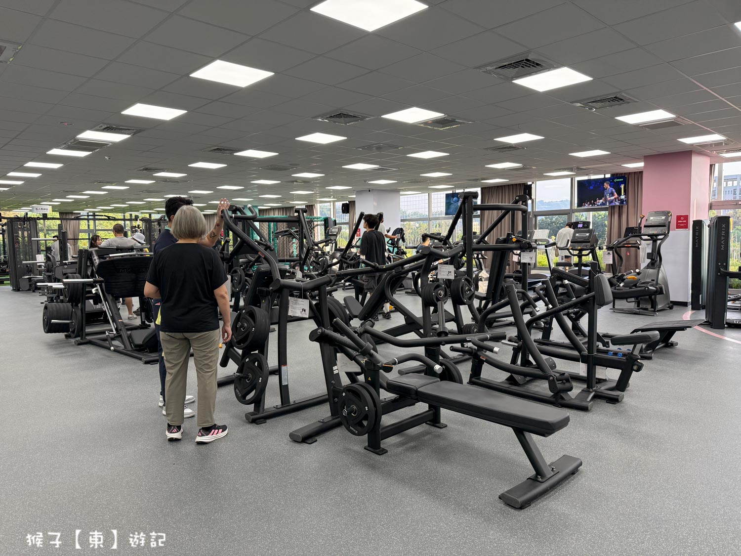  @猴子【東】遊記