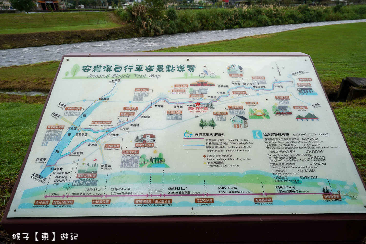 浪漫唯美落羽松大道 2026宜蘭安農溪落羽松最美季節 免費停車 免費入場 最新花況 交通攻略 @猴子【東】遊記 @猴子【東】遊記