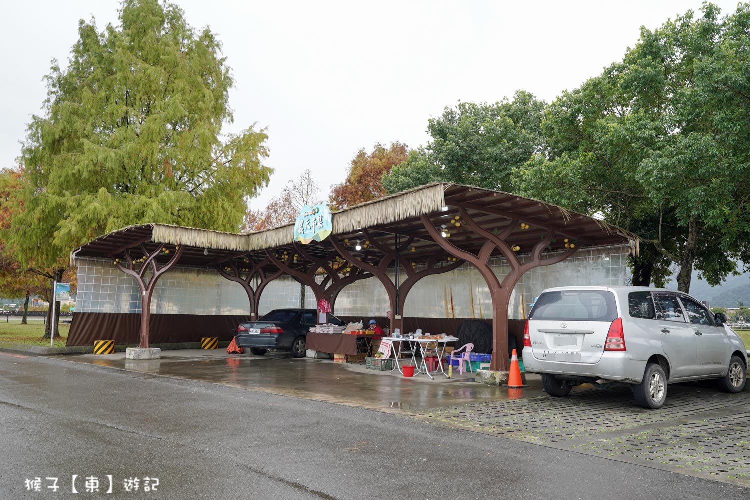 浪漫唯美落羽松大道 2026宜蘭安農溪落羽松最美季節 免費停車 免費入場 最新花況 交通攻略 @猴子【東】遊記 @猴子【東】遊記